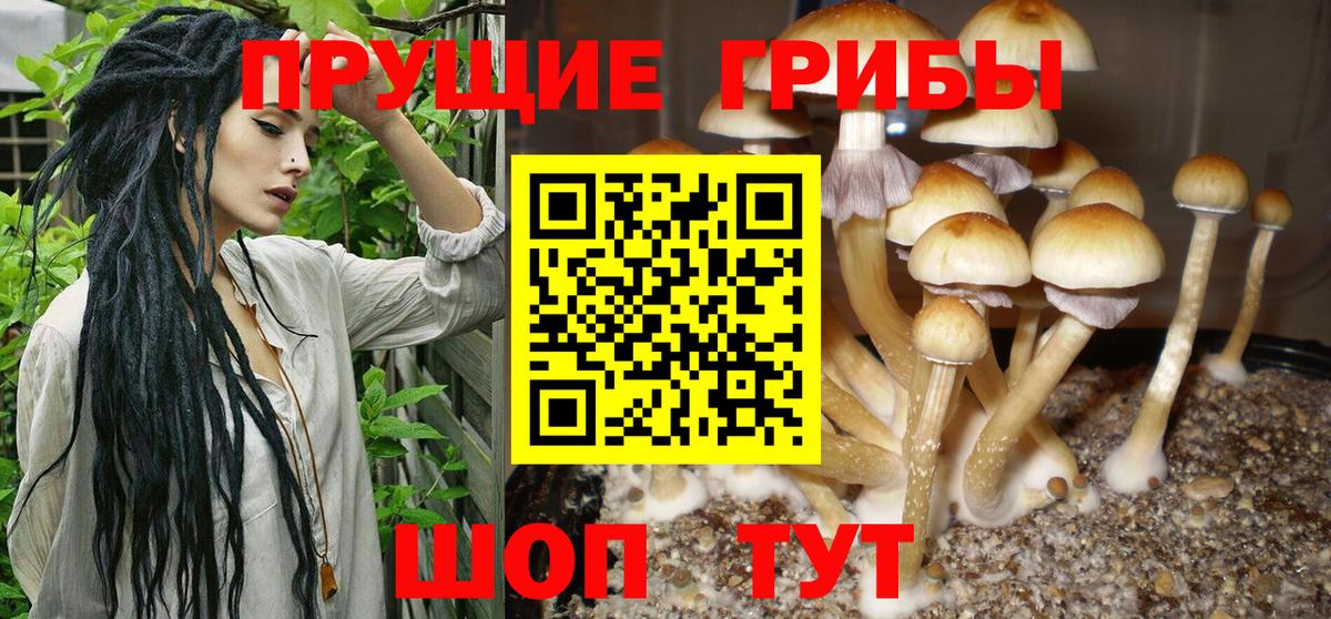 Галлюциногенные грибы Magic Shrooms Рубцовск