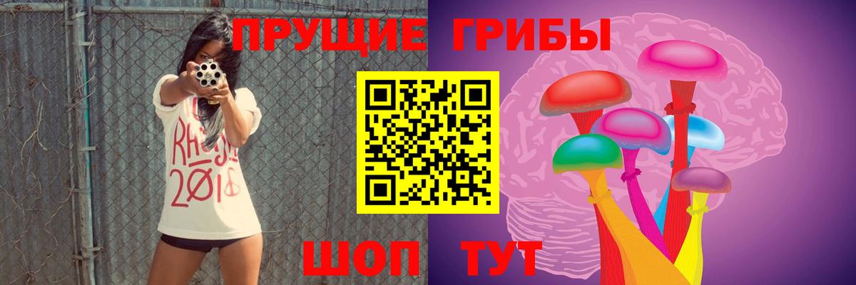 Псилоцибиновые грибы Cubensis  Псилоцибиновые грибы GOLDEN TEACHER  Рубцовск  Вход с VPN 